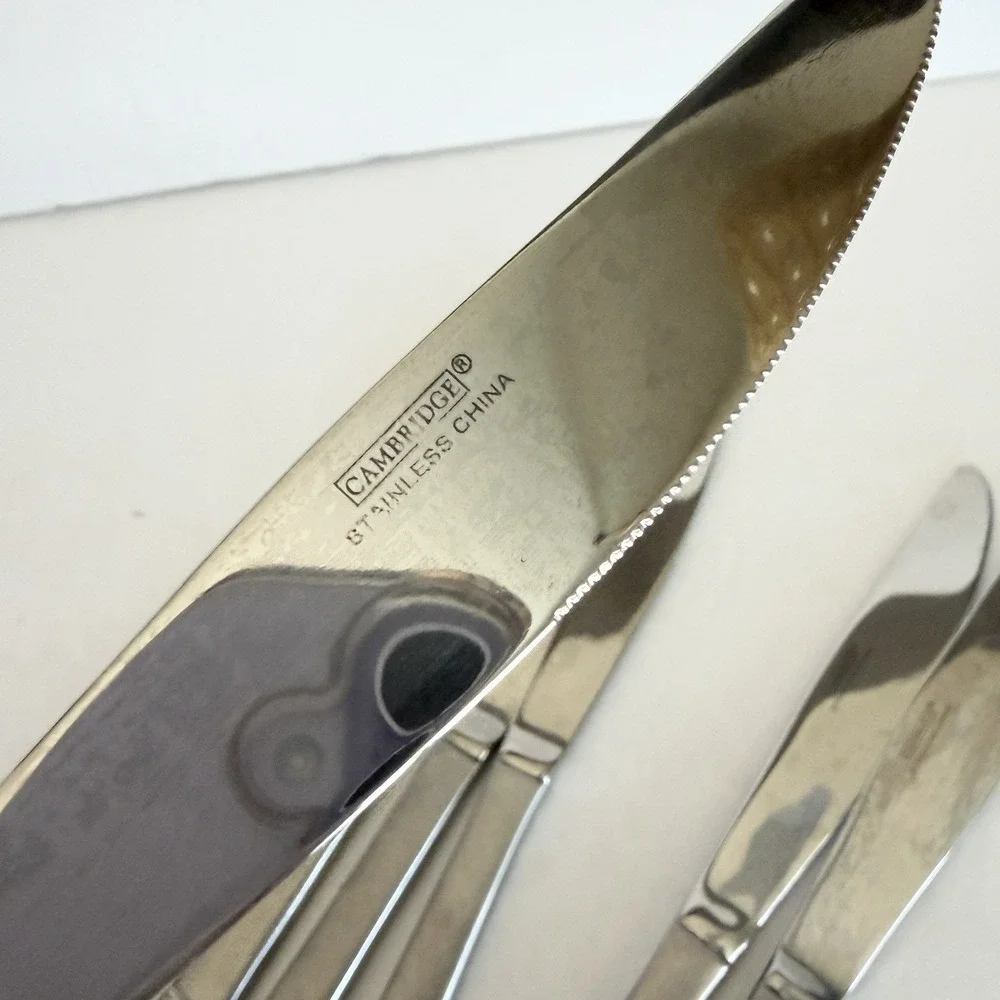 Set of 8 Cambridge Codie Sand Frost Stainless Butter Dinner‎ Knifes Flatware 8